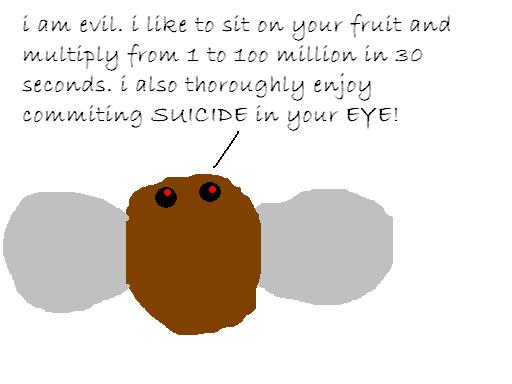 evilfruitfly.jpg